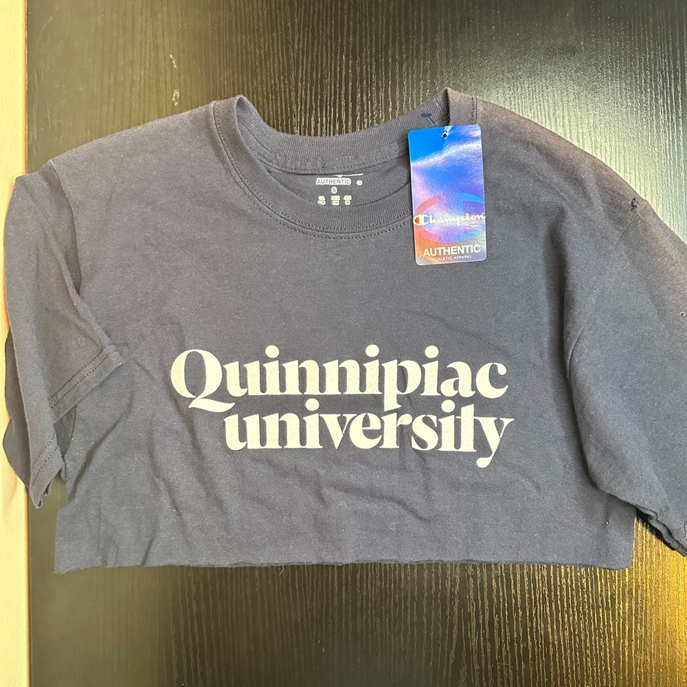 Champion Crop Top | Small